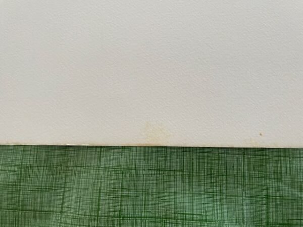 Bottom edge with visible foxing and paper age on Picasso lithograph